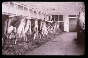 Oak Hill dairy