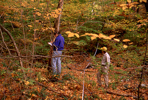 William T. Fox (left) and Katherine Birnie (Class of 2000) in Permanent Plot 1232 establishing X- Y-coordinates of canopy trees. Ground truthing aerial photographs project - Plot 1232.