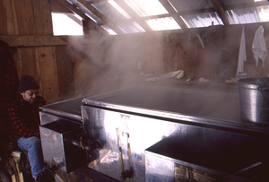 Drew Jones boiling sap in the evaporator in the Campbell Maple Sugar House in the sugarbush.