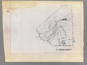 Beinecke Property map
