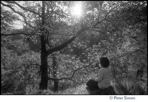 Usha (Cathy Brown) seated in a California grove