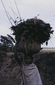 Woman carrying basket near Ranchi