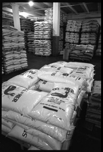 Palettes loaded with sacks of sea salt and other goods at Erewhon Trading Company