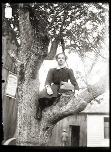 Young woman in a tree (Greenwich, Mass.)