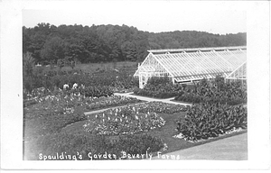 Spaulding's Garden, Beverly Farms