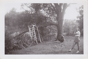 Cleanup after Hurricane Carol