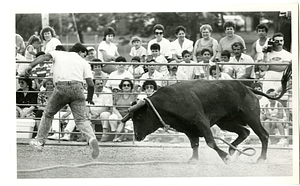 Luis Naves of Everett is chased by bull
