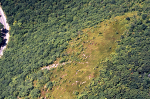 Aerial color image of east side of Taconic Crest at permanent plot 1204 heath bald. False Color Infrared/True Color Project.
