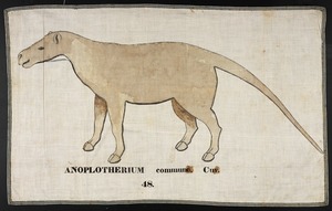 Orra White Hitchcock drawing of anoplotherium commune