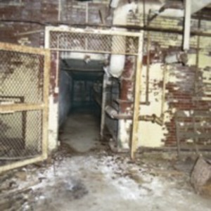 Basement Caged Door