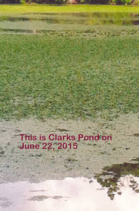 Clarks Pond June 2015