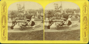 Stereograph of the Boston Public Garden, Boston, Mass., undated
