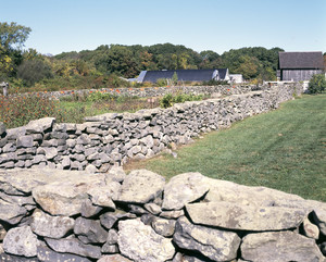 Stone wall and garden, Casey Farm, Saunderstown, R.I.
