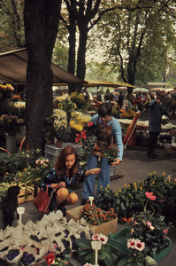 Young woman choosing flowers