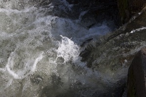 Roiling water at the base of the waterfall during the herring run at the Stony Brook Grist Mill and Museum