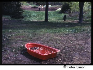 Toy boat filled with water with garden in the background, Tree Frog Farm commune