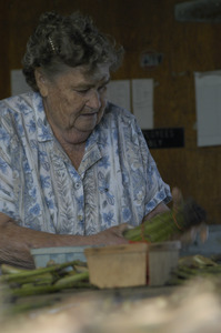 Hibbard Farm: portrait of a woman bunching asparagus, possibly Enid (Mrs. Wallace) Hibbard