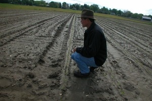 Lazy Acres Farm (Zuchowski Farm): Allan Zuchowski inspecting the soil in a newly planted corn field