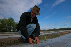 Lazy Acres Farm (Zuchowski Farm): Allan Zuchowski inspecting the soil in a newly planted corn field