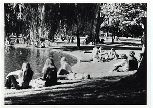 People sitting in the grass around a pond in Boston Public Garden