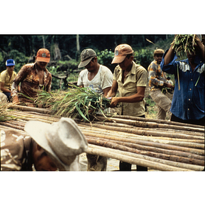 Field workers