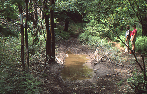 Katherine Whybrow, Williams Class of 1989, (in blue-and-white striped shirt) and Catherine Richardson (in red shirt), Williams Class of 1988, stand beside water-filled rut on the Taconic Crest Trail.