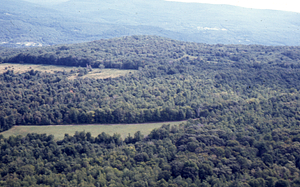 Aerial oblique view East across Pratt Farm at north end of Northwest Hill 2 Sept 1971.