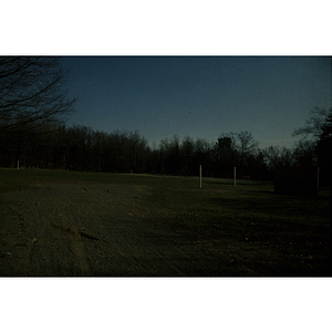 Field at dusk