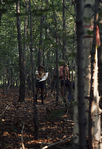 Barbara LeBaron (Class of 1977), Claude de Pamphelis, and Melinda Lindquist collecting data in a young red maple forest.
