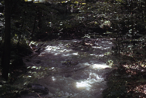South + Middle Branch Birch Brook. Morning after the 2.5" overnight (29-30 June 1973) rainfall event.