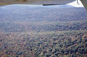Aerial oblique view on 14 October 1971.