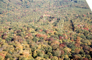 Aerial oblique close-up view north over the Birch Strips (center) and northern boundary - VT State line on 14 October 1971.