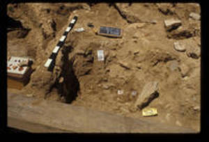Artifacts at Trench 102, 1988