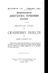 Preliminary report on cranberry insects.