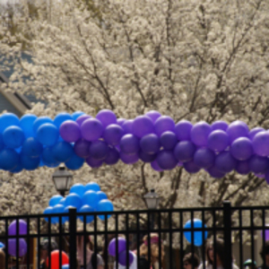 Springtime in Northampton #2, Pride Parade