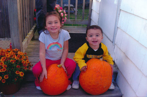 Growing our pumpkins