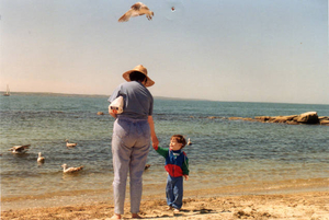 Feeding the seagulls