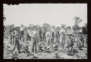 Harvest time, group of farmers