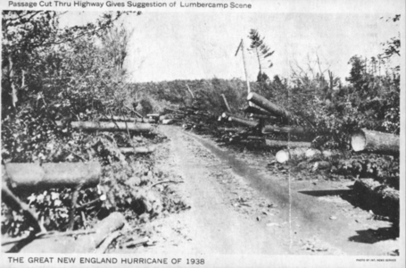 Passage cut thru highway gives suggestion of lumbercamp scene, photo by International News Service, New York, New York
