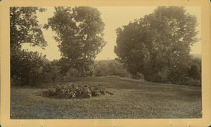 Circular flower bed with annuals, Sears Estate, Waltham, Mass.