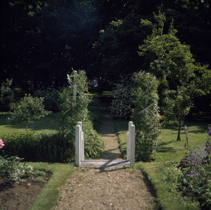 Spiral rose trellises and fence, Rundlet-May House, Portsmouth, N.H.