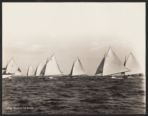 Start of Catboats