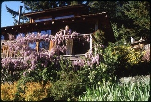 Sandi Sommer on deck of house with spring wisteria bloom