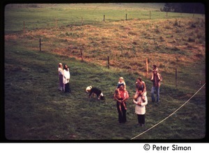 Parents and children walking in the fields, Tree Frog Farm Commune