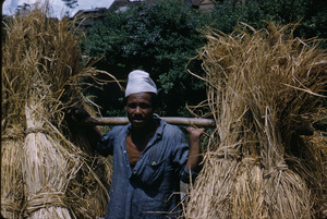 Man carrying hay