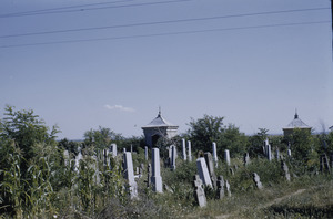 Prahovo graveyard