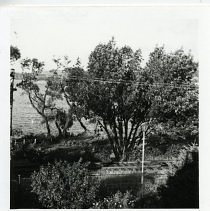 Hurricane Damage, September 1954