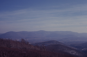 Mt. Greylock from permanent plot 1205.