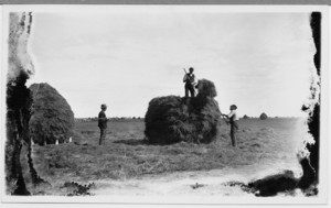 Three men haying on a marsh, Hampton, N.H., undated