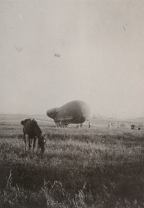 View of a zeppelin and a grazing horse in a field